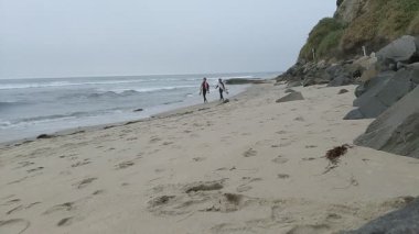 Güney Kaliforniya Pasifik sahili eski resifler, gelgit havuzları, okyanus dalgaları, palmiye ağaçları, sörf tahtaları ve deniz kuşlarının yanı sıra sıcak görünüşlü günbatımı gökyüzü ve Swamis Resif Parkı Encinitas kaya soyutlamaları..