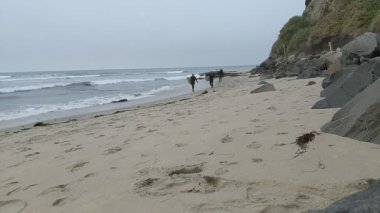 Güney Kaliforniya Pasifik sahili eski resifler, gelgit havuzları, okyanus dalgaları, palmiye ağaçları, sörf tahtaları ve deniz kuşlarının yanı sıra sıcak görünüşlü günbatımı gökyüzü ve Swamis Resif Parkı Encinitas kaya soyutlamaları..