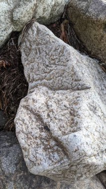 Swamis Resif Sörf Parkı Encinitas California 'da günbatımları, sörfçüler, gelgit havuzları, yıpranmış kaya soyutları ve palmiye ağaçları olan Güney Kaliforniya sahneleri.