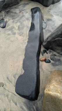 Swamis Resif Sörf Parkı Encinitas California 'da günbatımları, sörfçüler, gelgit havuzları, yıpranmış kaya soyutları ve palmiye ağaçları olan Güney Kaliforniya sahneleri.