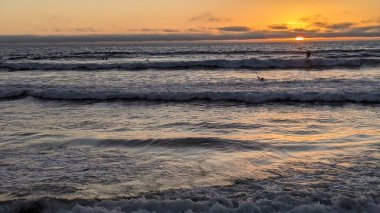 Swamis Resif Sörf Parkı, Ay ışığı, Cardiff ve Encinitas California 'daki diğer benzersiz plajlarda güneşli Güney Kaliforniya sahneleri, sörfçüler, gelgit havuzları, serin kayalar ve palmiye ağaçları..