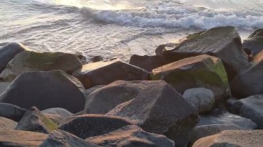 Güney Kaliforniya sahilleri San Diego 'nun kuzeyinde. Sahil şeridi günbatımları, okyanus dalgaları, sörfçüler, gelgit havuzları, palmiye ağaçları ve Encinitas California 'daki Swamis Resif Sörf Parkı' ndaki kaya soyutlamaları..