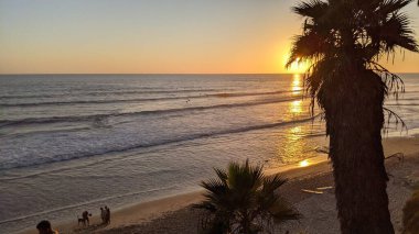 Güney Kaliforniya sahilleri San Diego 'nun kuzeyinde. Sahil şeridi günbatımları, okyanus dalgaları, sörfçüler, gelgit havuzları, palmiye ağaçları ve Encinitas California 'daki Swamis Resif Sörf Parkı' ndaki kaya soyutlamaları..