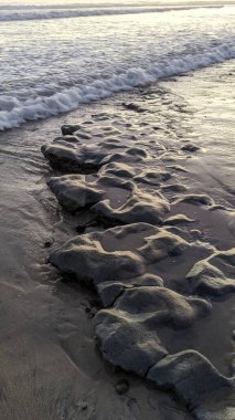 Güney Kaliforniya 'da tenha plajlar, gün batımları, sörfçüler, gelgit havuzları ve palmiye ağaçları Encinitas California' daki Swamis Resif Sörf Parkı 'nda.