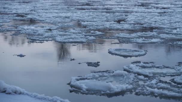 川の冷たい青い水の中で氷の流れを溶かす 閉じろ — ストック動画