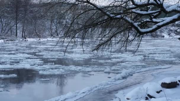 融化的冰漂浮在冰冷的蓝色河水中 透过树枝看 — 图库视频影像