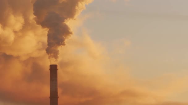 日出时吸烟的烟囱空气污染全球变暖放大点 — 图库视频影像