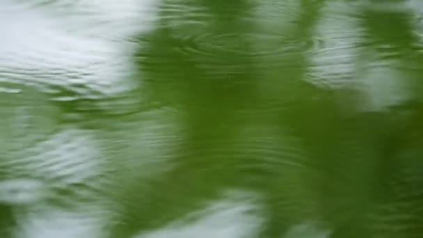 Lluvia Superficie Agua Verde Profundidad Superficial Del Campo Primer Plano — Vídeos de Stock