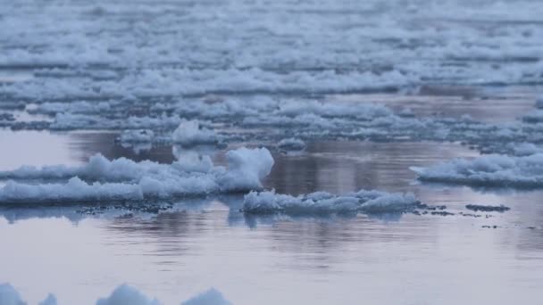 Ice Floe River Low Angle Shallow Focus Slow Motion — Stock Video