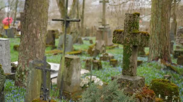 Ein Friedlicher Alter Friedhof Mit Einem Moosbedeckten Kreuz — Stockvideo