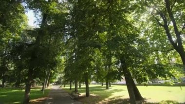 Güneşli bir günde yemyeşil bir parkta yürüyorum.