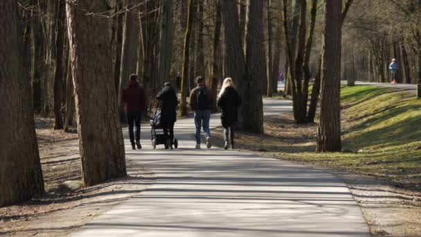 一群人沿着一条铺着柏油的小径走在森林公园里 阳光穿过树木 营造出一种宁静祥和的氛围 — 图库视频影像