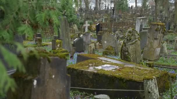 ヴィルナス リトアニア April 2022 石の十字架と墓石で満たされた平和なバーナディーン墓地 — ストック動画