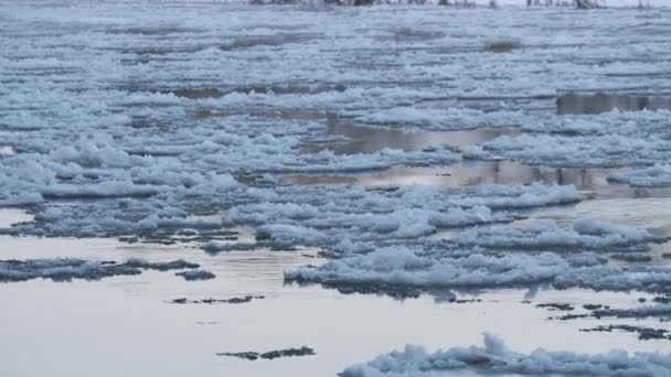 融化的冰缓缓地沿河漂流 — 图库视频影像