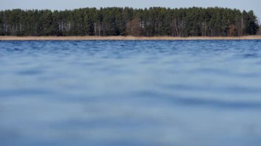 Doğanın sükuneti: sakin göl ve yoğun orman.