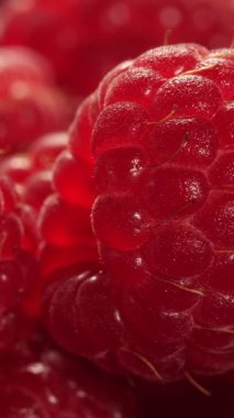 Doğal ışıkta parlayan kırmızı ahududu makrosu, dikey video hareket ediyor.