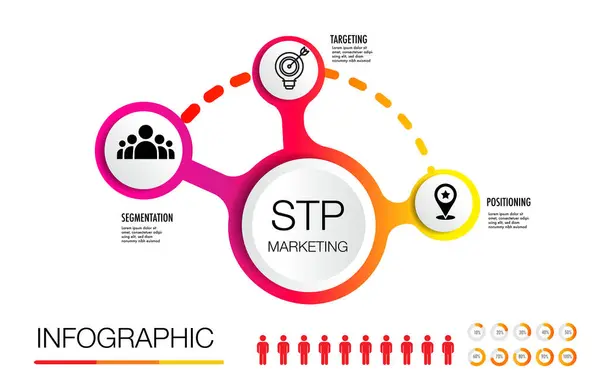 Stp Marketing Acronym Segmentation Targeting Positioning Three Step Model Communicate — Stock Vector