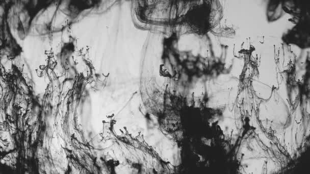 Splash Tinta Hitam Abstrak Menyebar Layar Putih Efek Transisi Gerak — Stok Video