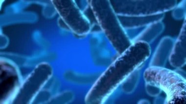 Bulaşıcı hastalıklar ve sağlık geçmişleri için yakın çekim bakteri ve virüsler HD