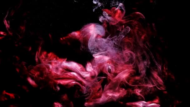 Tintenkleckse Verteilen Wasser Farbtextur Tinte Textur Isolierten Hintergrund Abstrakte Malerei — Stockvideo