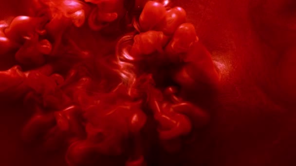 Красная Красная Краска Стрельба Черном Фоне Красивый Абстрактный Цветной Дизайн — стоковое видео
