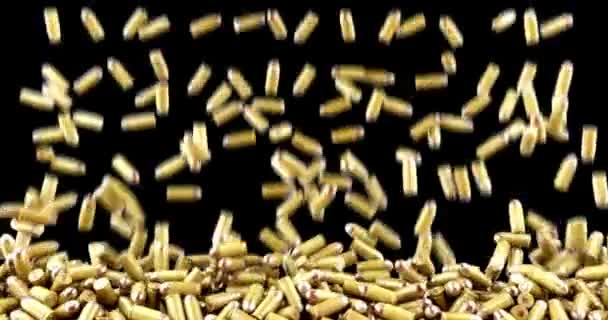 Kugeln Fallen Animation Waffe Waffe Armee Militär Schusswaffe Isoliert Ranger — Stockvideo