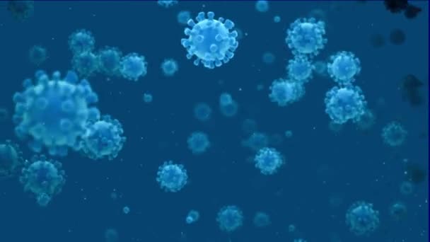 Bacterias Virus Patógeno Placa Microscópica Coli Multiplicándose Bajo Microscopio Electrónico — Vídeos de Stock