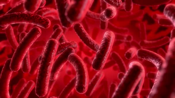 Bacterias Virus Investigación Médico Laboratorio Microscópico Organismo Salud Enfermedad Medicina — Vídeos de Stock