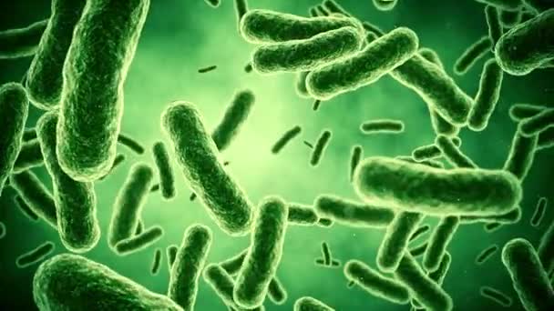 Анимированные Клетки Бактерий Вирусный Микроскоп Здравоохранения Медицинского Фона Зеленом Фоне — стоковое видео