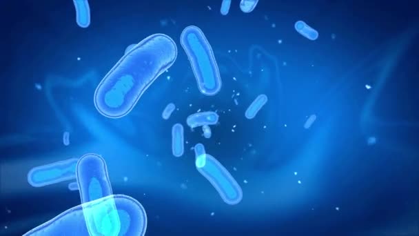 Animierte Bakterien Und Viren Aus Nächster Nähe Für Infektionskrankheiten Und — Stockvideo