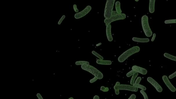 Bactérias Microscópicas Flutuando Sob Animação Microscópica Células Vírus Fundo Preto — Vídeo de Stock