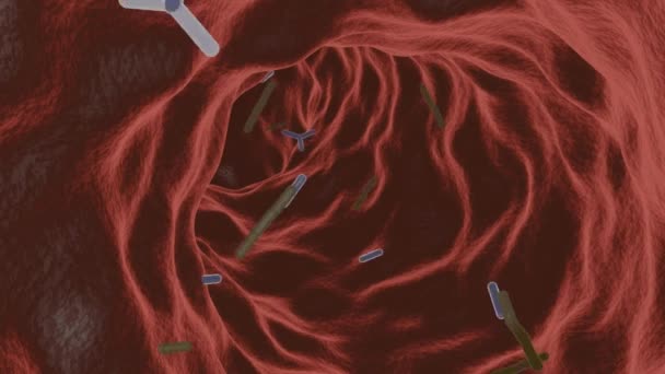 Научная Медицина Здравоохранение Медицинские Исследования Доктор Лабораторных Микроскопических Организмов — стоковое видео