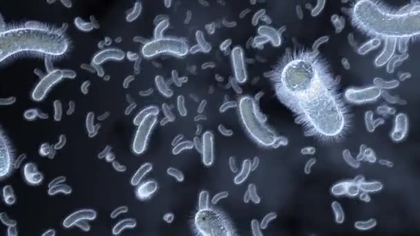 Bacterias Microscópicas Flotando Microscopio Animación Fondo Negro Células Virales — Vídeos de Stock