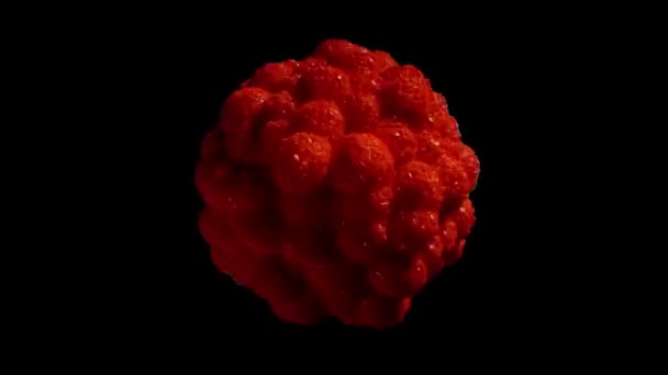 Krebszelle Nahaufnahme Onkologie Forschungskonzept Mit Proteinpartikeln Mikroskopische Animation Krebszellen — Stockvideo