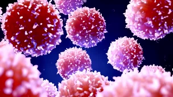 Cellules Cancéreuses Gros Plan Oncologie Concept Recherche Avec Particules Protéiques — Video