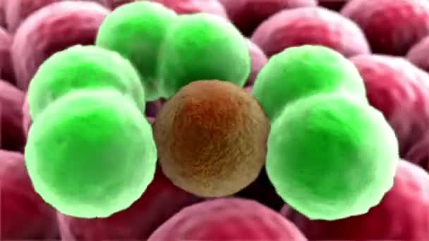 Célula Câncer Close Oncologia Conceito Pesquisa Com Partículas Proteína Células — Vídeo de Stock