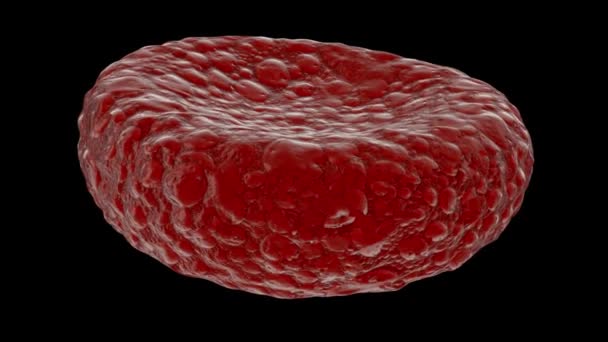 3Dレンダリングの血液細胞オブジェクト黒の背景科学と医学の概念設計で回転 — ストック動画