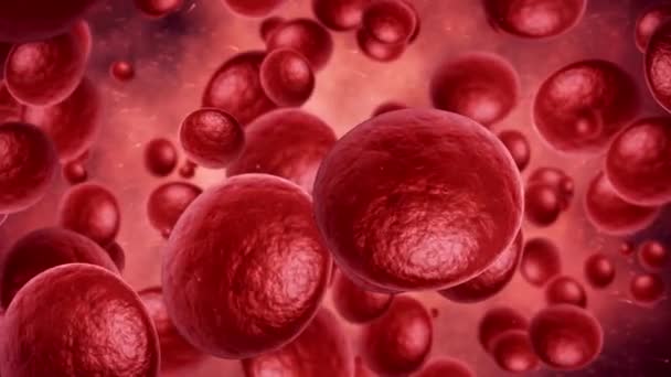 Glóbulos Rojos Una Arteria Plaquetas Animación Sangre Que Fluye Hacer — Vídeos de Stock
