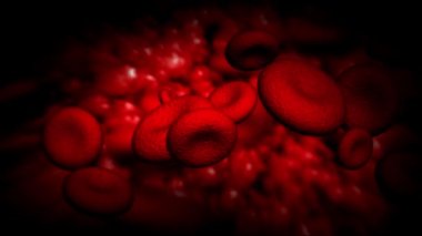 Damardaki kırmızı kan hücreleri. Üç boyutlu animasyon. Birçok insan kanı taşıyan bir gemi. Tıbbi konsept. İnsan döngüsü animasyonu akışı