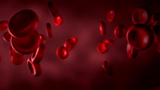 Красные Клетки Крови Человеческой Системы Кровообращения Анимация Движений Кровеносных Сосудов — стоковое видео