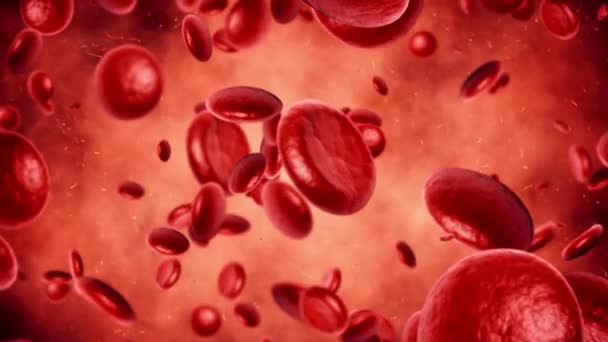 血管内で血中に浮遊し循環する赤血球医療概念 3Dシームレスループ可能なアニメーション — ストック動画