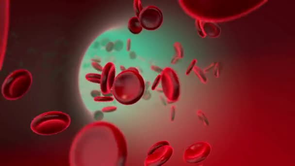Красные Кровяные Тельца Плавающие Крови Циркулирующие Сосудах Медицинская Концепция Плавная — стоковое видео