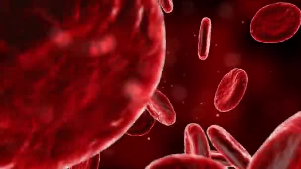 赤血球は血管を通ってシームレスにループアニメーションを移動します — ストック動画