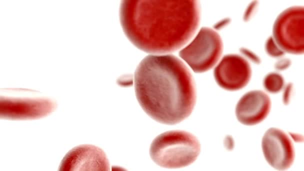 Animation Των Ερυθρών Αιμοσφαιρίων Φλέβα Και Αρτηρία Ιατρική Περίθαλψη Loop — Αρχείο Βίντεο