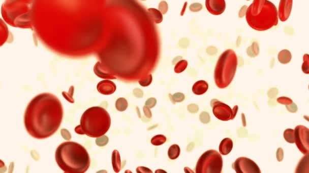 Globules Rouges Dans Une Artère Plaquettes Animation Sang Coulant Rendre — Video