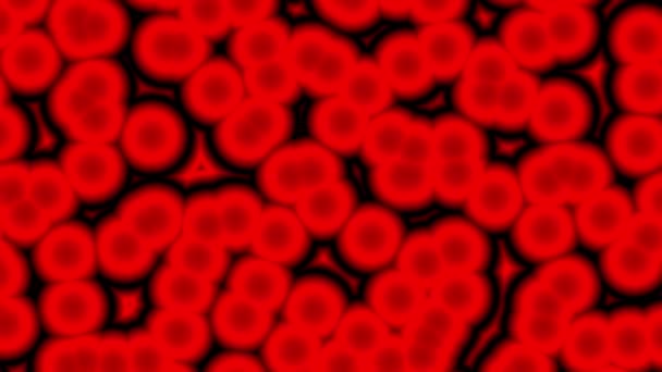 Vörös Vérsejtek Egy Artéria Vérlemezkék Animáció Véráramlás Render Gyógyszer Tudomány — Stock videók