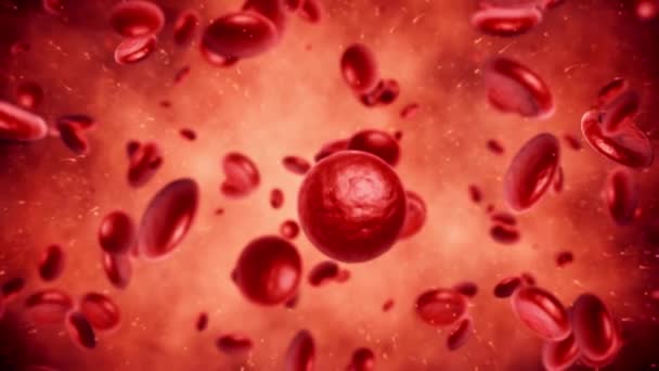 Globuli Rossi Nella Vena Animazione Vaso Sangue Umano Con Molti — Video Stock