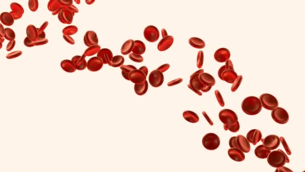 Animación Vena Arteria Glóbulos Rojos Salud Bucle Animación Médica Salud — Vídeo de stock