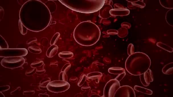 Glóbulos Vermelhos Veia Animação Vasos Sangue Humano Com Muitos Conceito — Vídeo de Stock