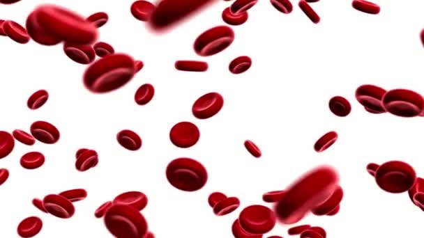 Animation Der Roten Blutkörperchen Vene Und Arterie Gesundheitsversorgung Schleifenanimation Medizin — Stockvideo